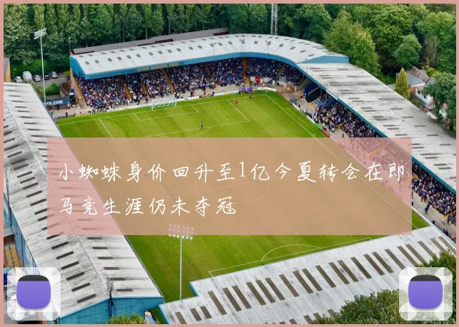 小蜘蛛身价回升至1亿今夏转会在即马竞生涯仍未夺冠